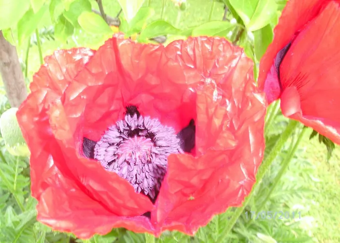 Guest house Land- & Panoramagasthof Schoene Aussicht Viktorsberg