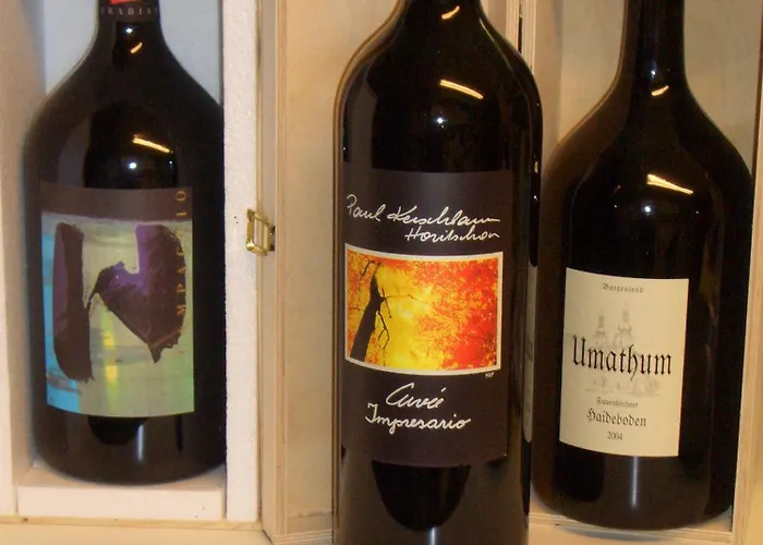 Guest house Land- & Panoramagasthof Schoene Aussicht Viktorsberg